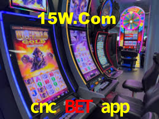 cnc bet app: A Experiência de Casino com Jogos de Mesa ao Vivo