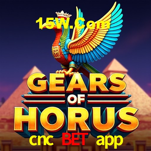 Estatísticas Crash Games cnc bet app