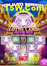 Login Seguro cnc bet app