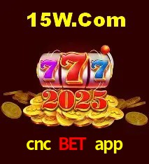 Integração de APIs cnc bet app