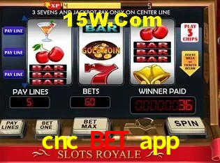Sistemas de Segurança cnc bet app