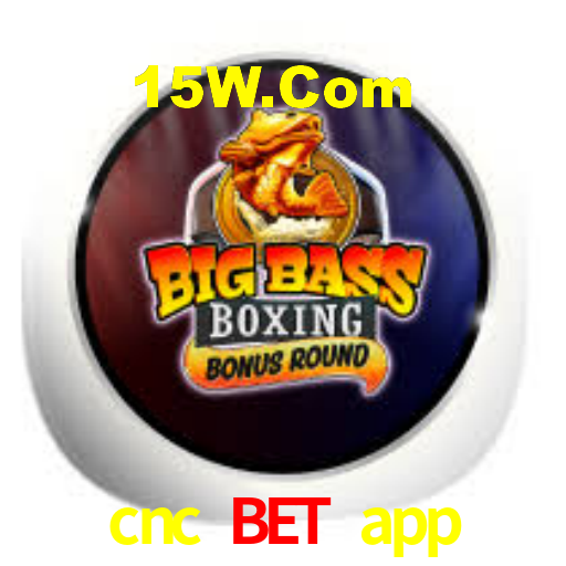 cnc bet app: Jogue Crash e Experimente Alta Recompensa Instantânea